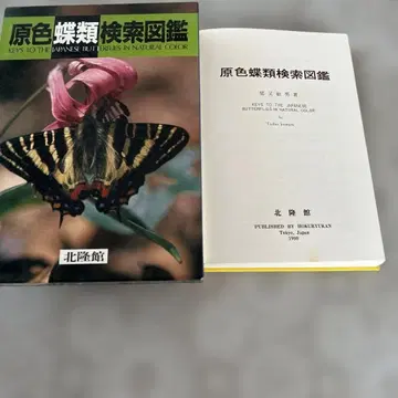 원색 나비 검색 도감 1999년