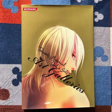 두근두근 메모리얼 Girl'sSide 아트 갤러리즈