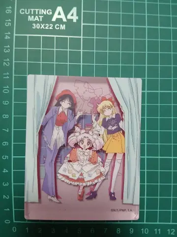 세일러문 치비우사 아이노 미나코 히노 레이 아크릴 블록