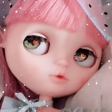 해외 작가님 커스텀 브라이스