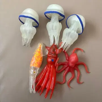 씨 몬스터즈 5세트