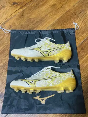 미즈노 알파 엘리트 25cm