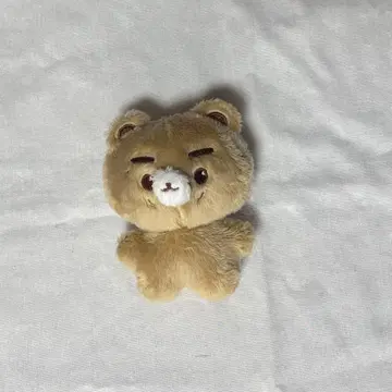 WayV 쿤 봉제 인형 쿠니베어