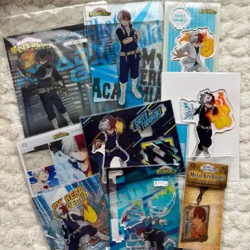 히로아카 토도로키 쇼토 묶음 판매 9점