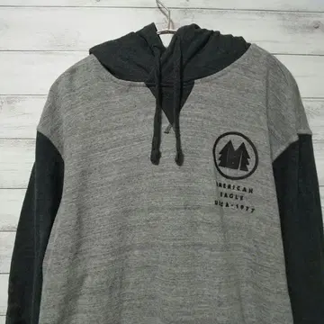 AMERICAN EAGLE 후드티 그레이 바이컬러 USA 구제 의류