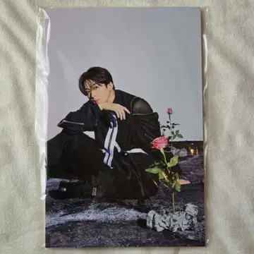 사와모토 나츠키 패널 FANTASTIC ROCKET