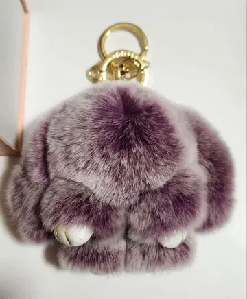 floats! 플로츠 모후모후상