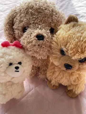 봉제 인형 세트 (개와 곰)