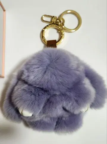 floats! 플로츠 모후모후상