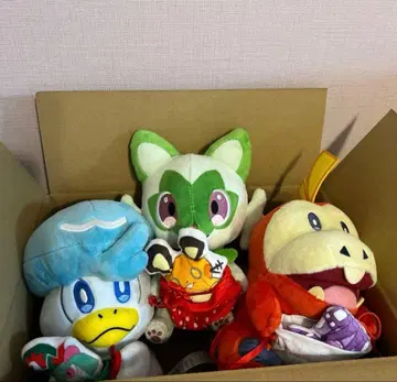 냐오하 뜨아거 쿠와스 포켓몬 센터