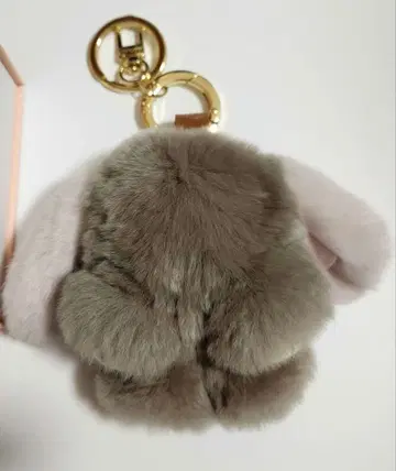 floats! 플로츠 모후모후상