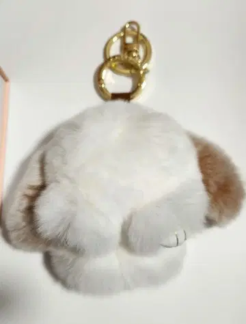 floats! 플로츠 모후모후 씨