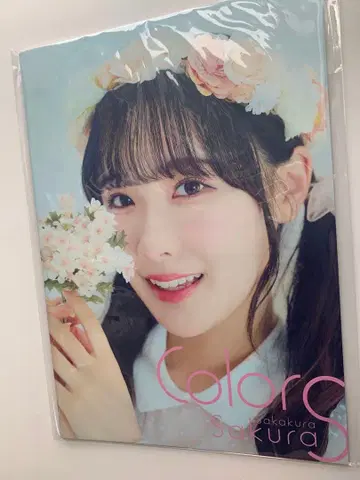 사카쿠라 하나 팜플렛 39Color