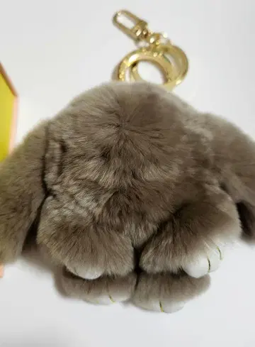 floats! 플로츠 모후모후상