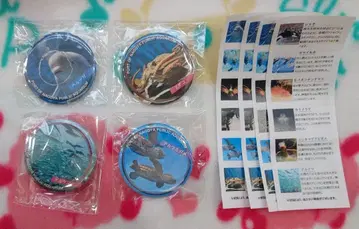 나고야항 수족관 가챠 캔뱃지