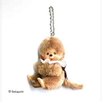 몽치치 그로브 홀더