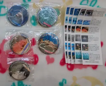 나고야항 수족관 가챠 캔뱃지