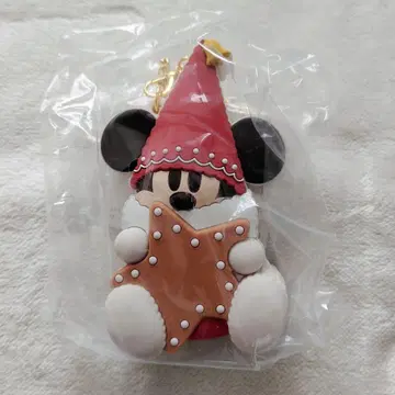 디즈니 리조트 크리스마스 리루린린 백참 케이스 포함