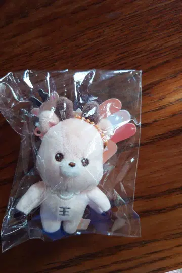 RIIZE 성찬 미사용 새상품