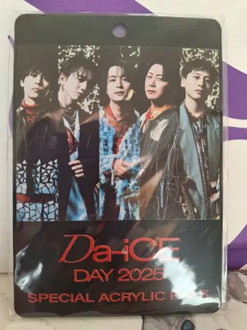 Da-iCEDay2025 아크릴 패스
