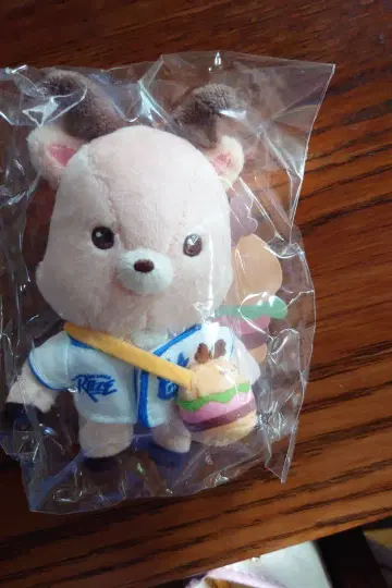 RIIZE 성찬 키링 봉제 인형 미사용 새상품