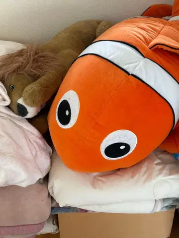 거대한! 니모와 라이온 씨 세트