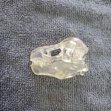 티라노사우루스 두개골 3D 프린터 제작