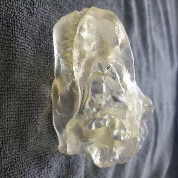 티라노사우루스 두개골 3D 프린터 제작