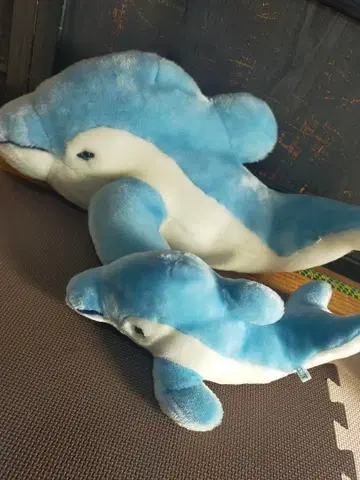돌고래 봉제 인형 부자 세트