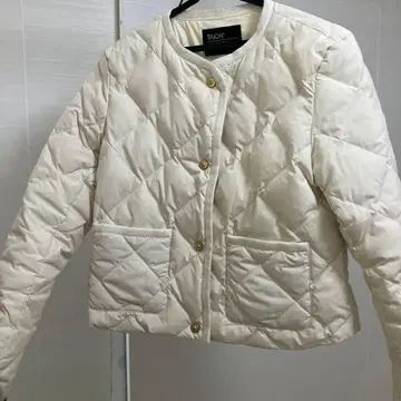 아뉴앙스 TAION 2024년 구매