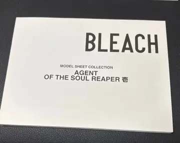 BLEACH 설정 자료 소책자