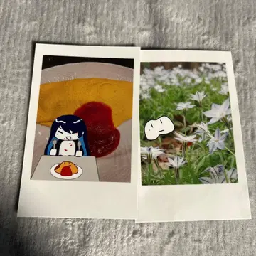 Ado 폴라로이드풍 트레이딩 카드 hibana 모나리자의 옆얼굴 시크릿