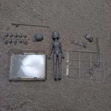 바디 군 - 스기모리 켄 -