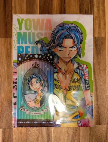 나루페달 벌스데이 클리어 파일 & 티켓 홀더 테시마