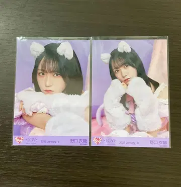 노구치 이오리 고양이 의상 브로마이드 세미 컴프