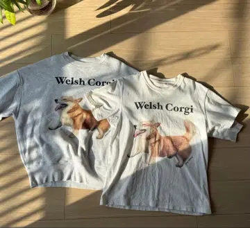 gray lifeshop 코기