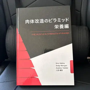 신체 개조의 피라미드 영양편