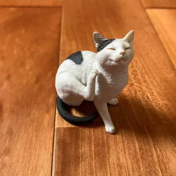 모리구치 오사무의 고양이