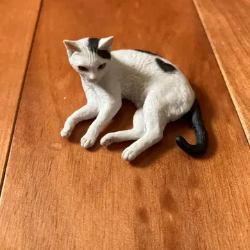 모리구치 오사무의 고양이