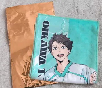 오이카와 토오루 극락탕 타월