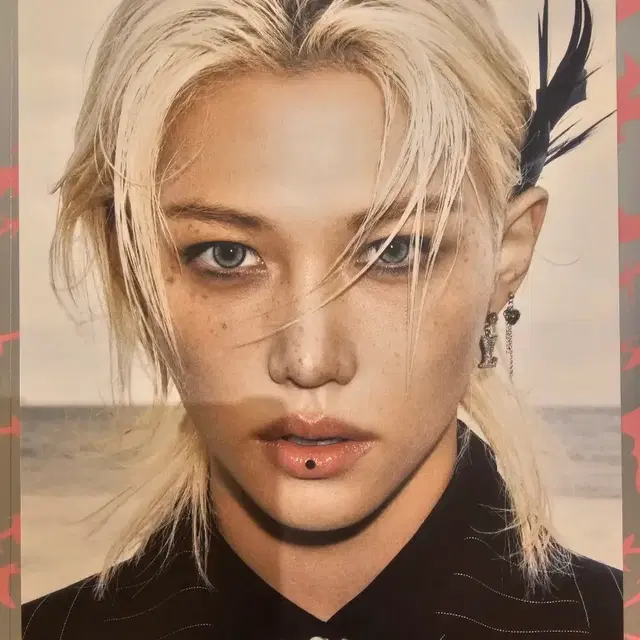 스키즈 두잇 앨범 필릭스 용복 포토보드 판매합니다