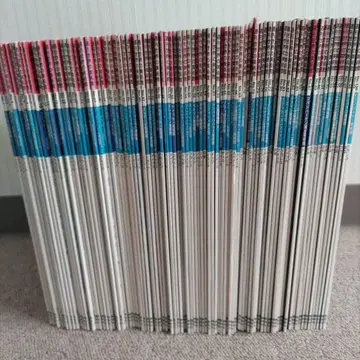 주간 세계의 미술관 99권 코단샤 전 100권 중 No.39 누락