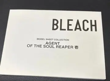 BLEACH 설정 자료 소책자 특전