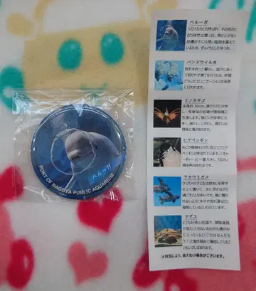 나고야항 수족관 가챠 캔뱃지 벨루가 3