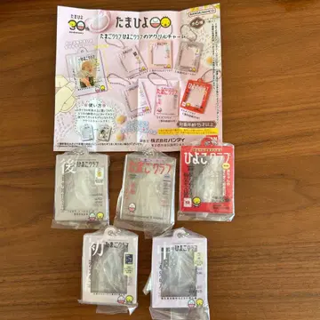 타마히요 타마고 클럽 히요코 클럽 아크릴 키링 5개 세트