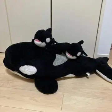 가모가와 씨 월드 범고래 봉제 인형 부자 세트