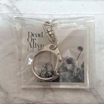 GLAY Dead Or Alive 아크릴 키링