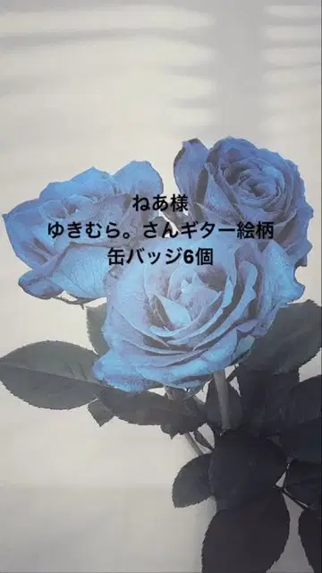 유키무라. 기타 그림 캔뱃지 6개