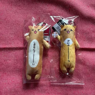 [ 나라 한정판 ] 노비시카