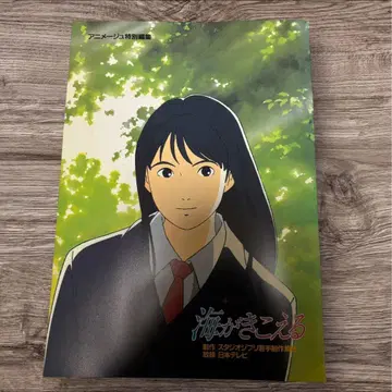 바다가 들린다 복각 팜플렛 스튜디오 지브리 영화 새 상품 미개봉